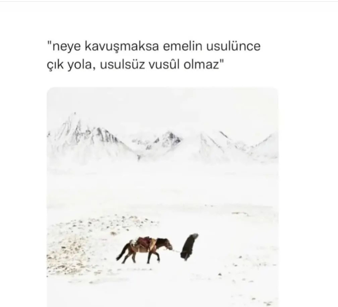 Dilek