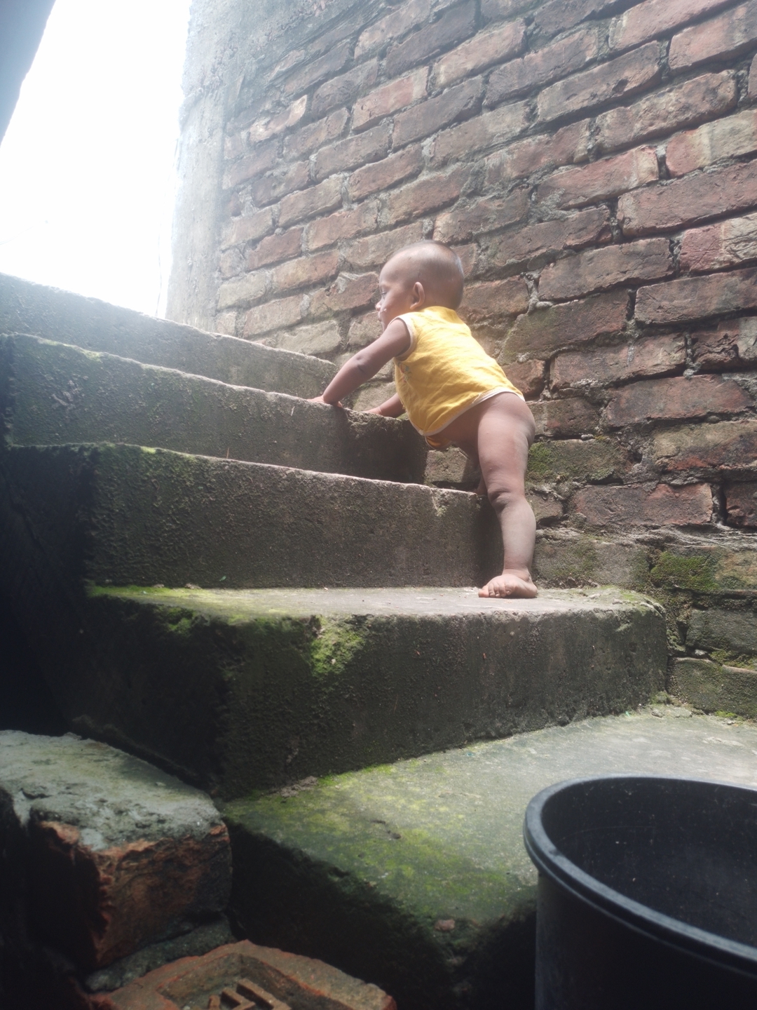 Amjad