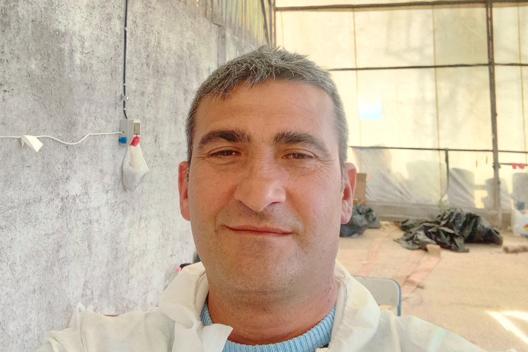 Levent
