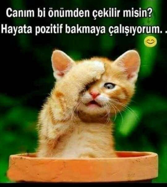 Meryem