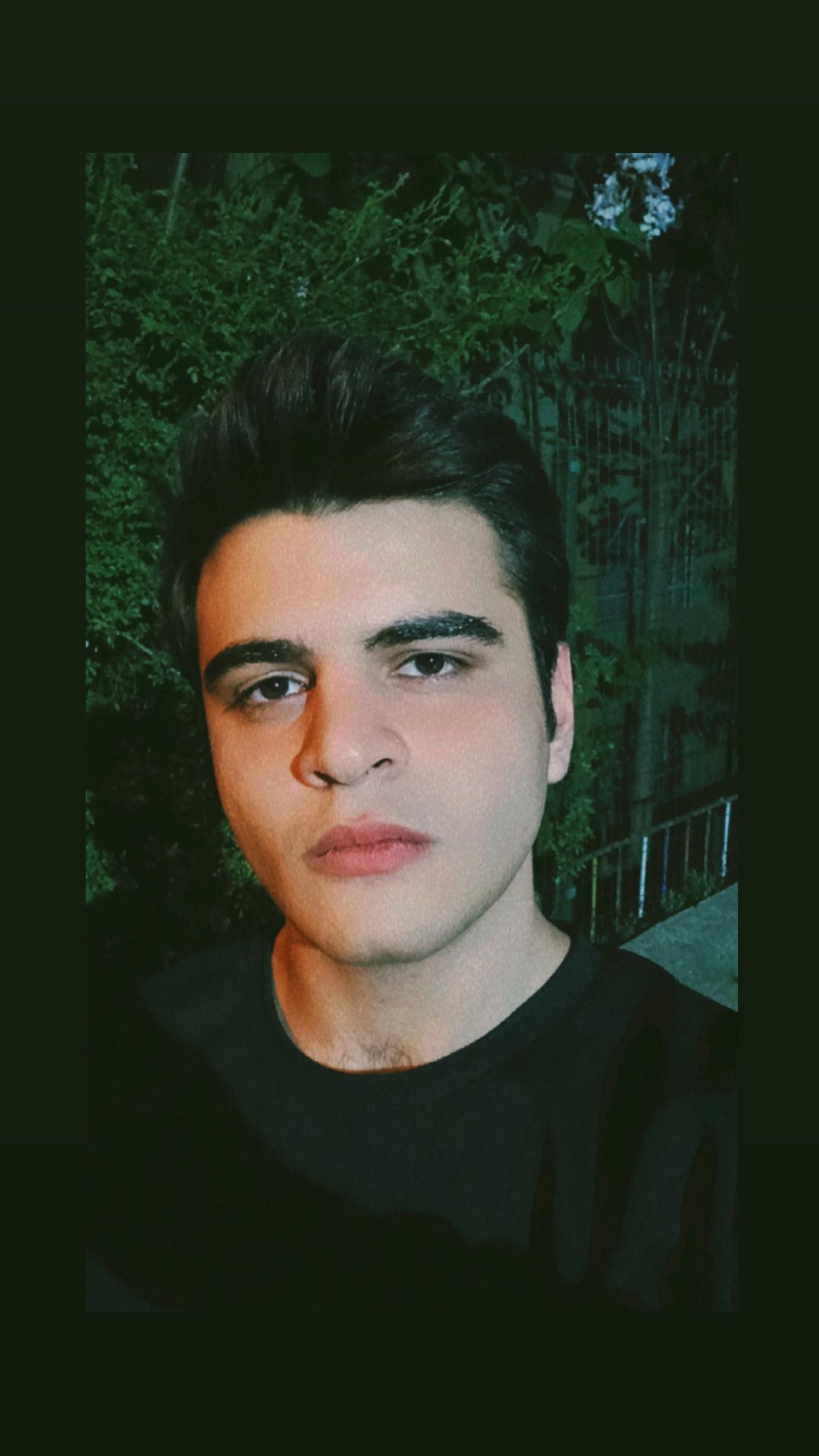 Alpkemal