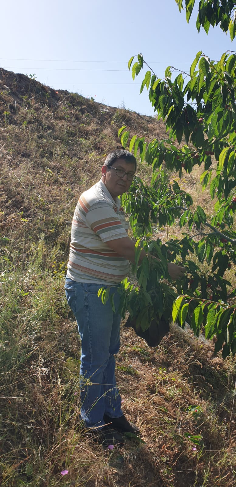 Ahmet