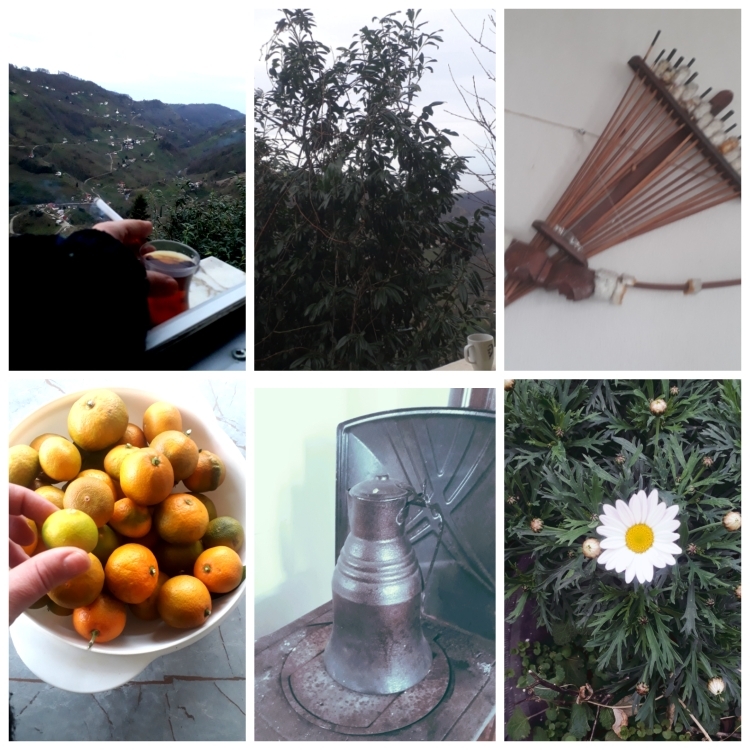 İlknur