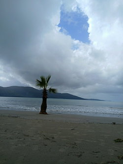 Devrim