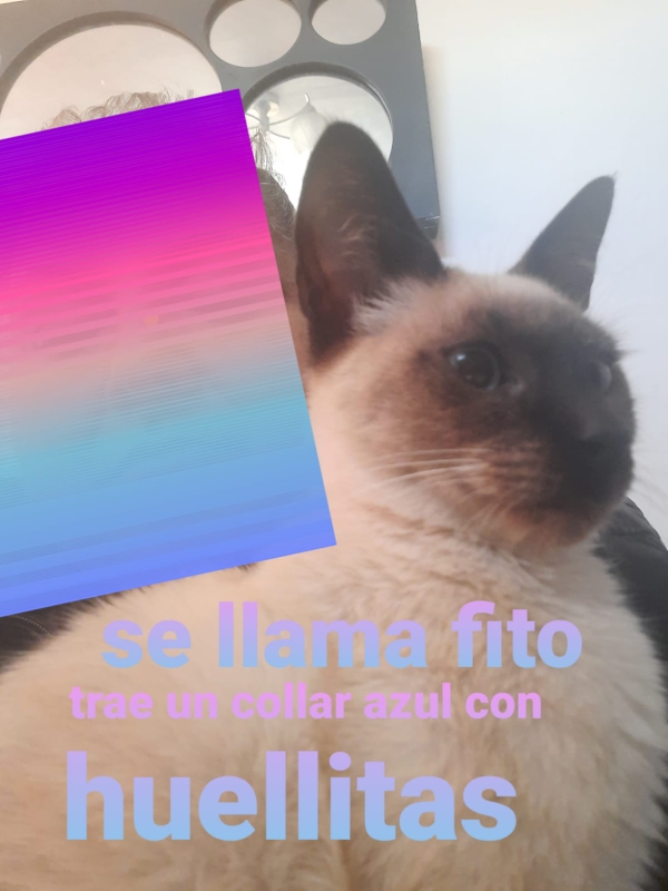 Javier