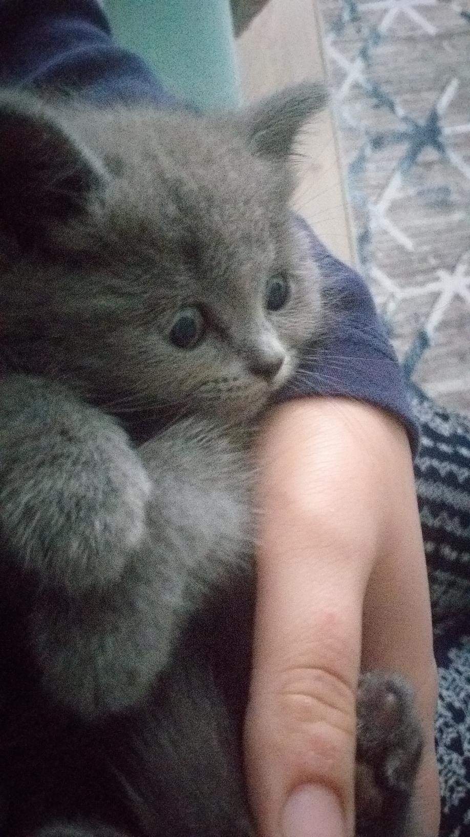 Selen