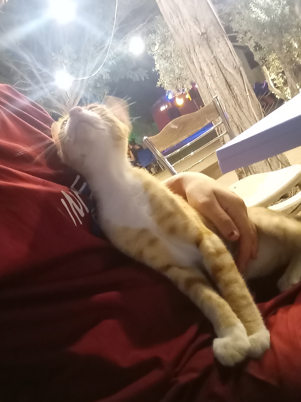 Aslı