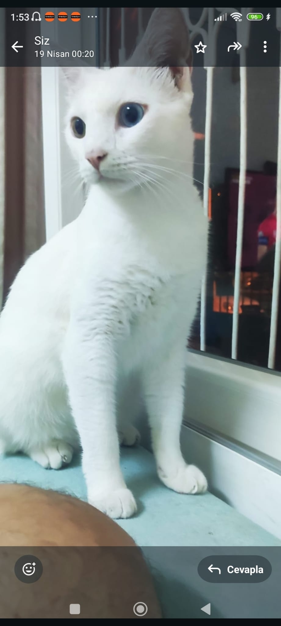 Sahin