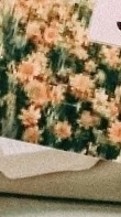 Jazmin