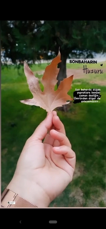 Şahin