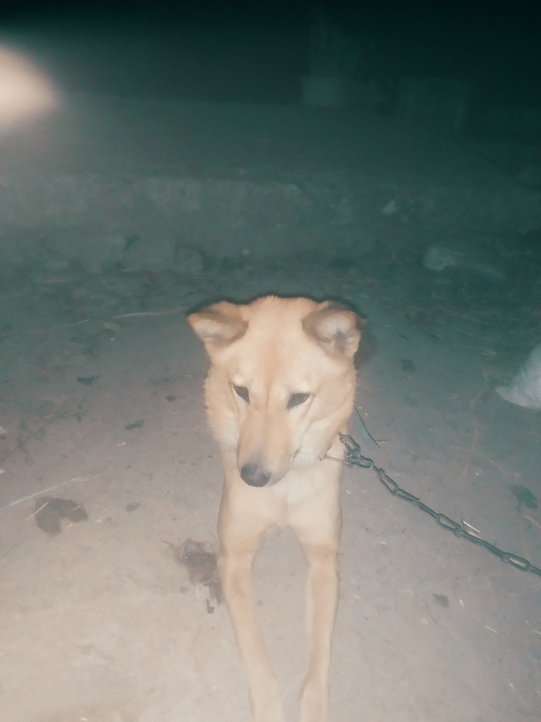 Khusum