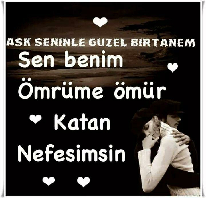 Aynur