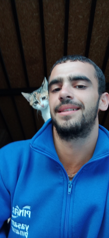 Ali