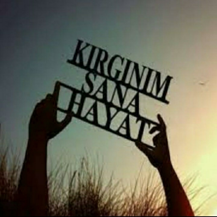 Yalçın