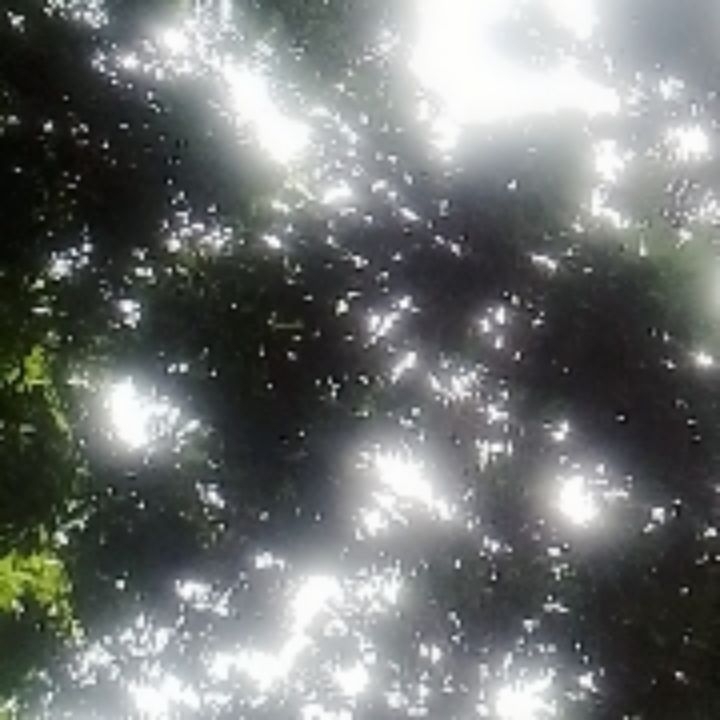 Rifki
