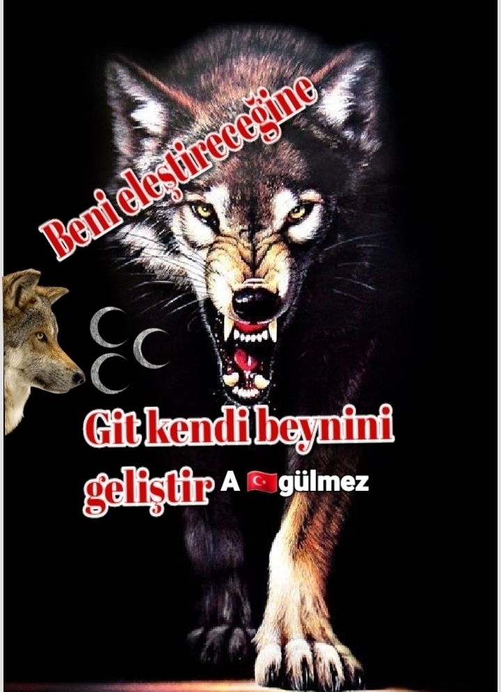 Aysun