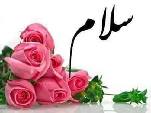 Mohamadyasin