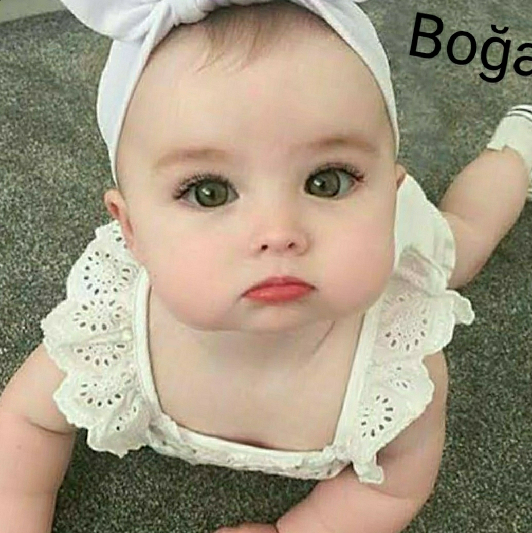 Fidan