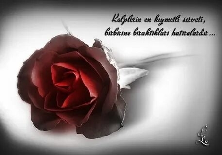 Handan