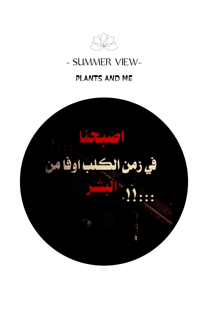 وليد
