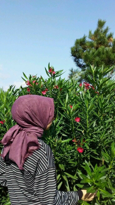 Duygu
