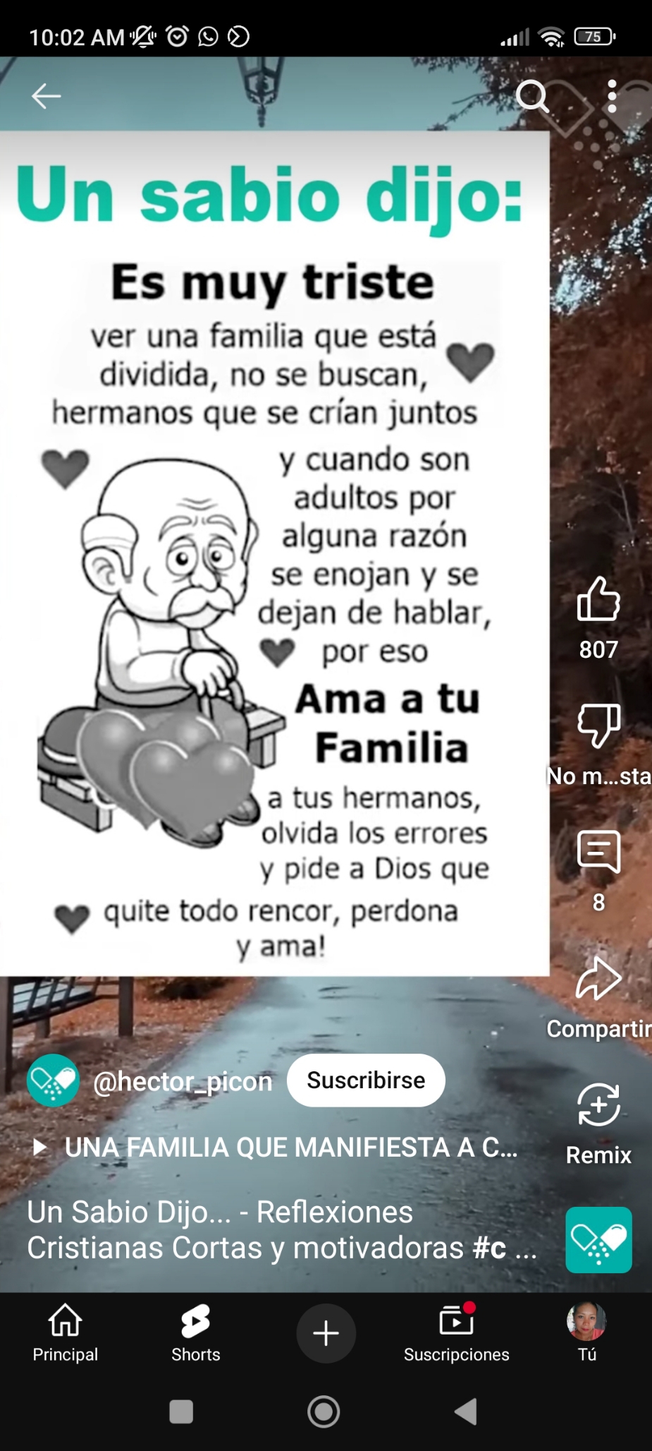 Morelia