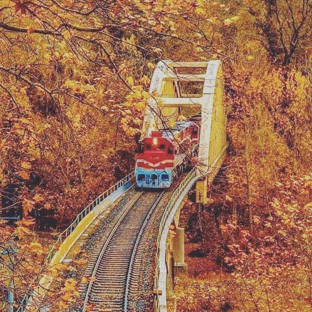 Sezgin