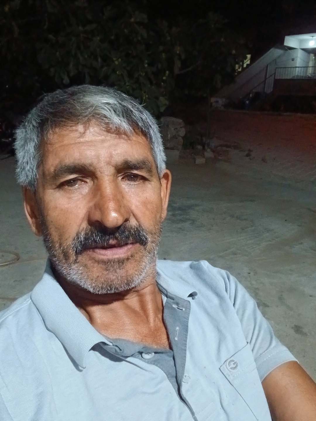 Ali