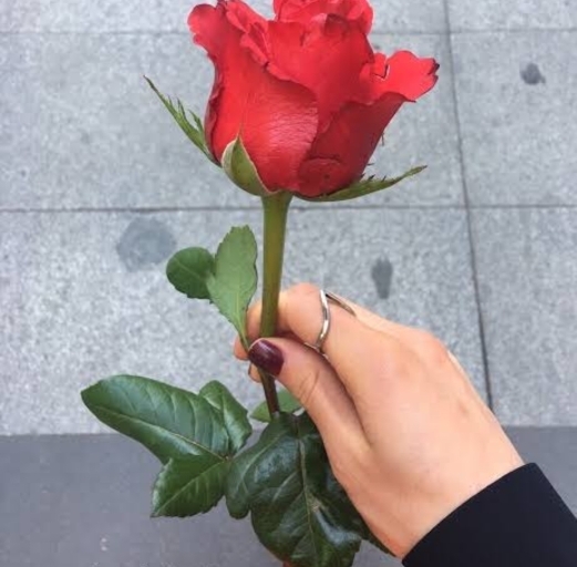Özlem