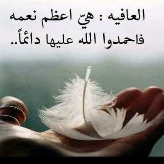 ياسر
