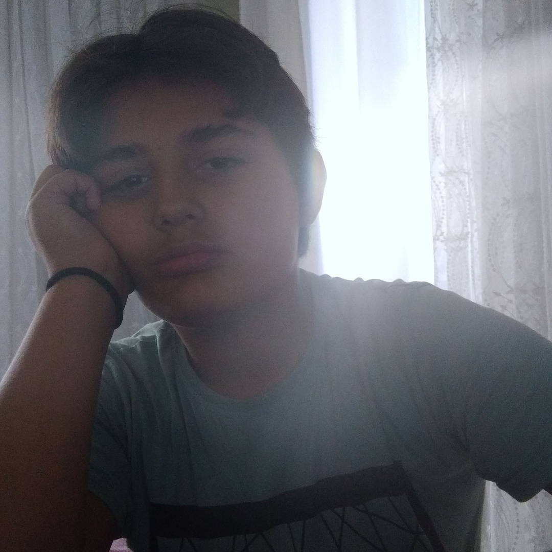 Enis