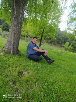 Erdal