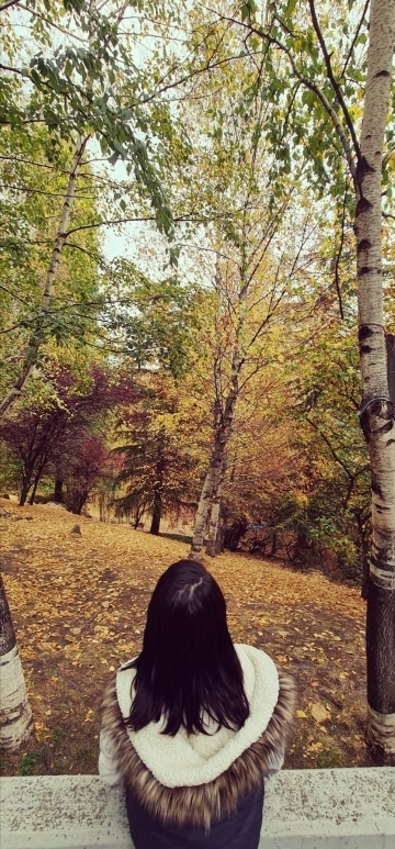Nesli