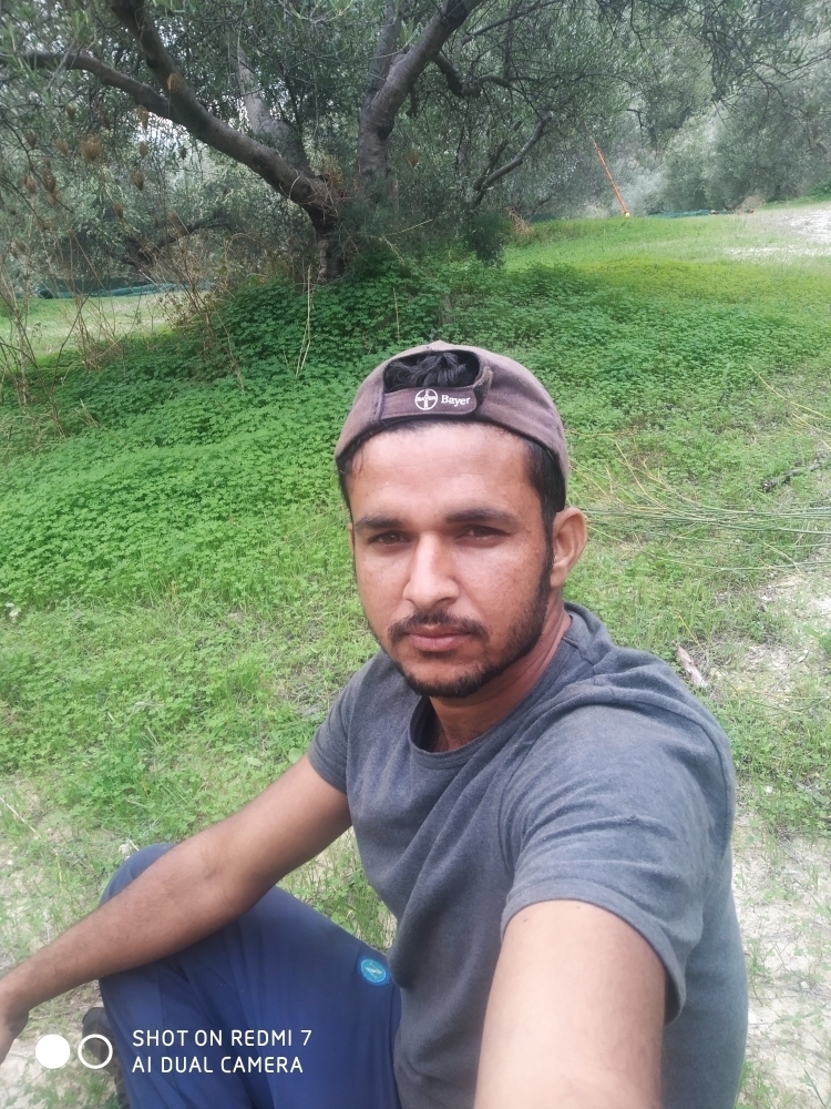 Malik