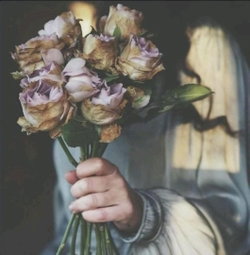Merve