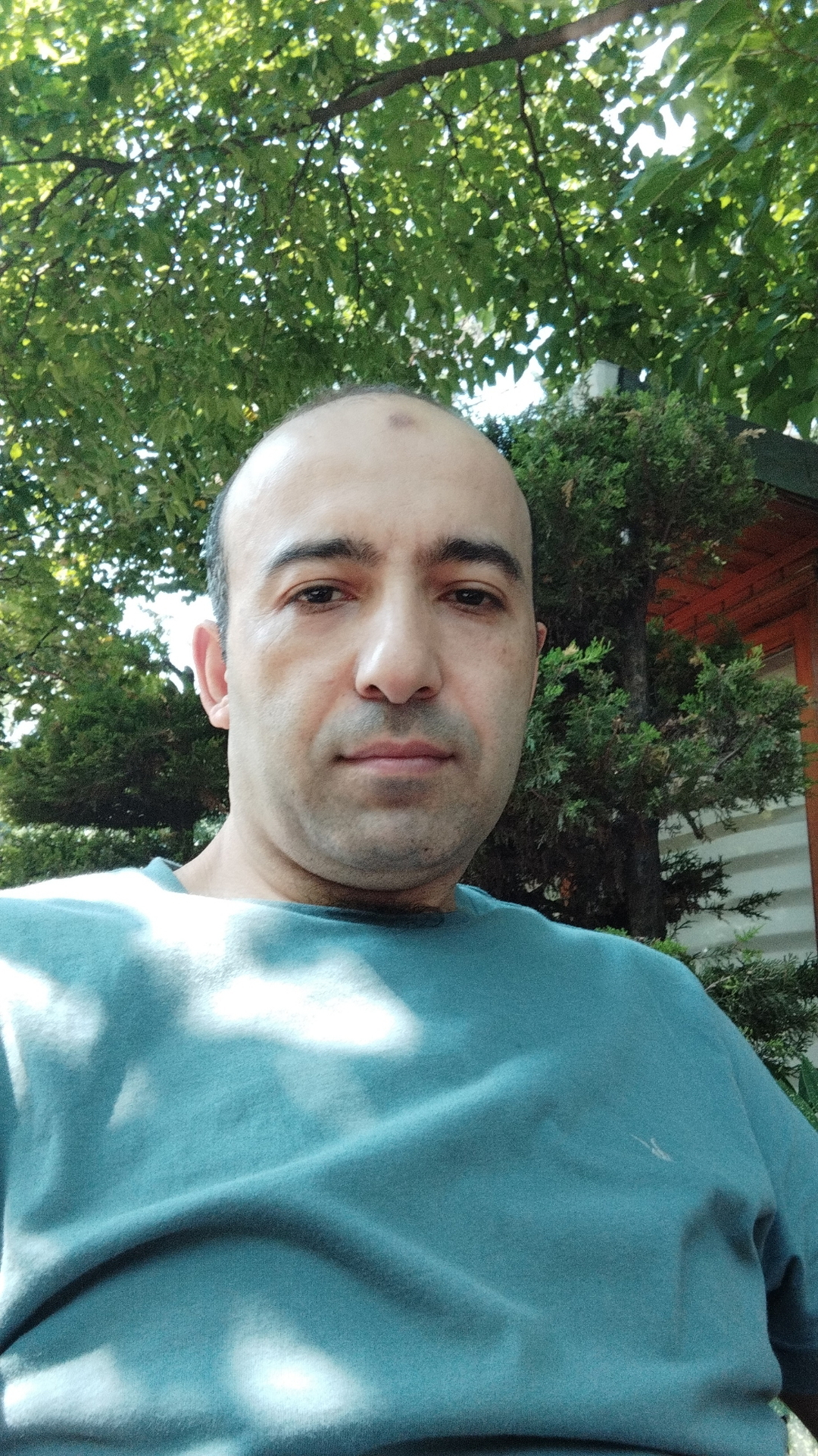 Ali