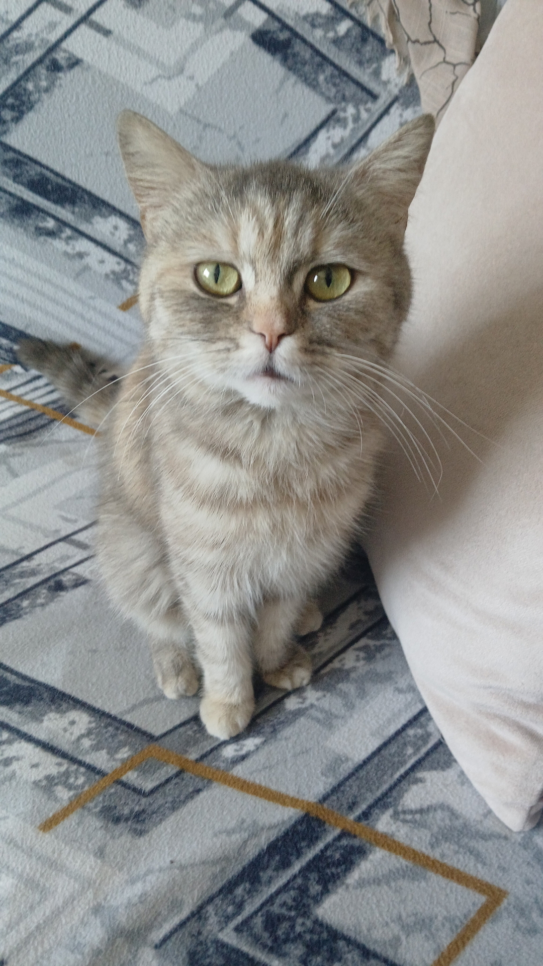 Ebru
