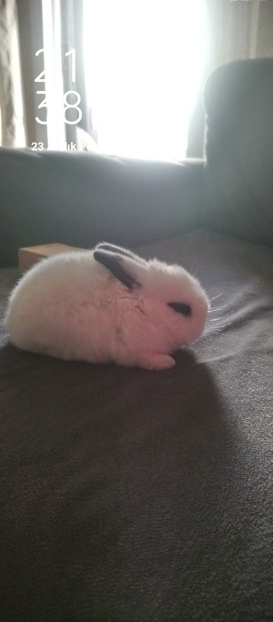 Gwgfjrjekf