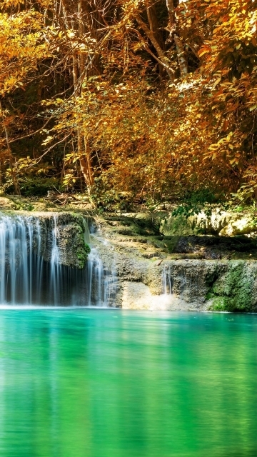 Arzu