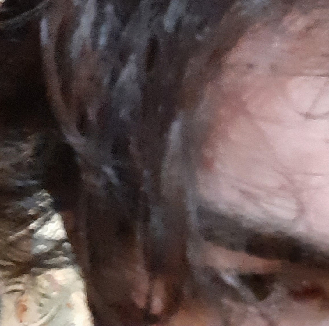 Nazim