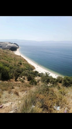Ergin