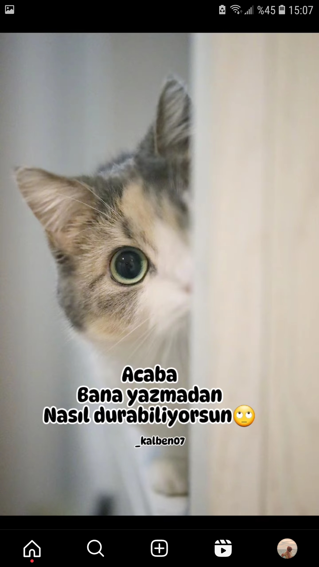 Sibel