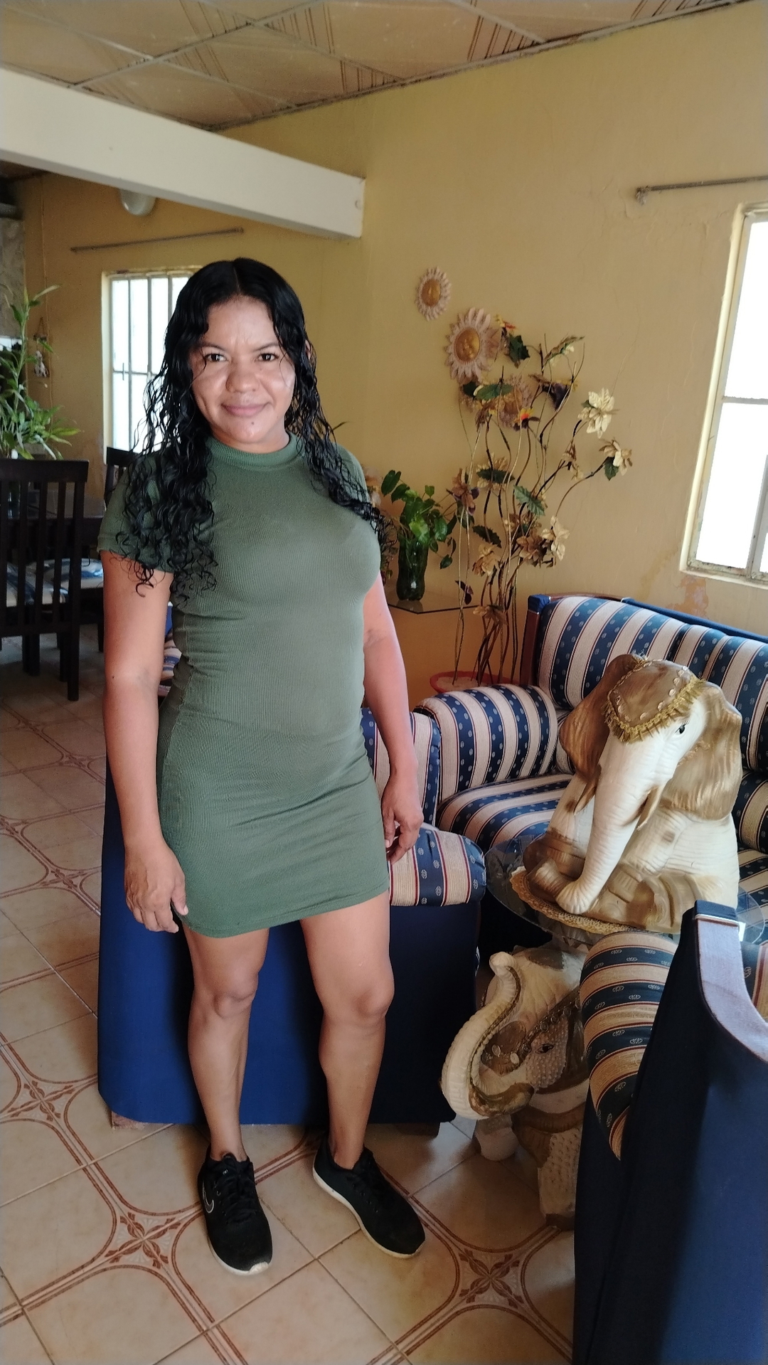 Mileidis
