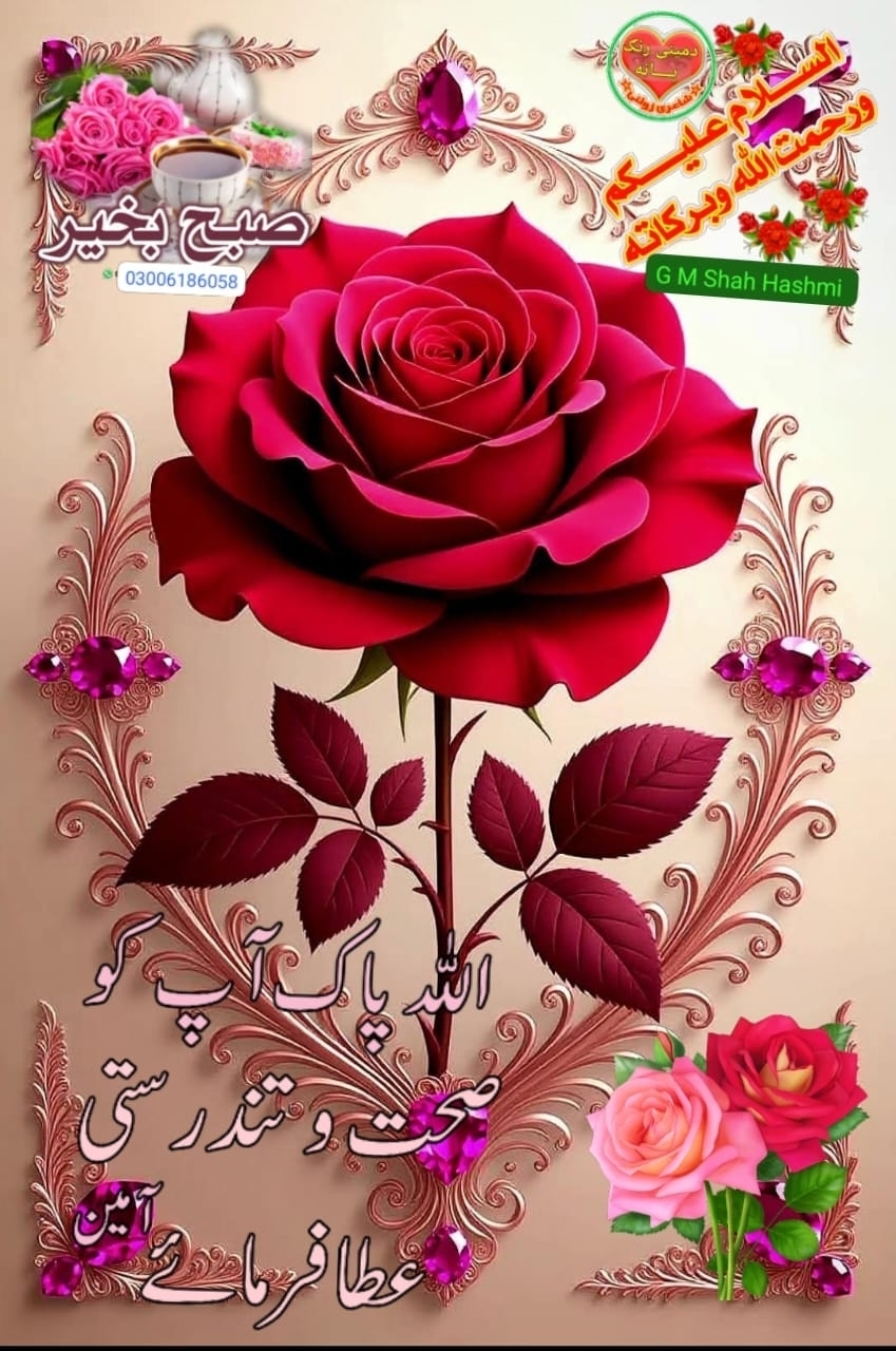 Amir