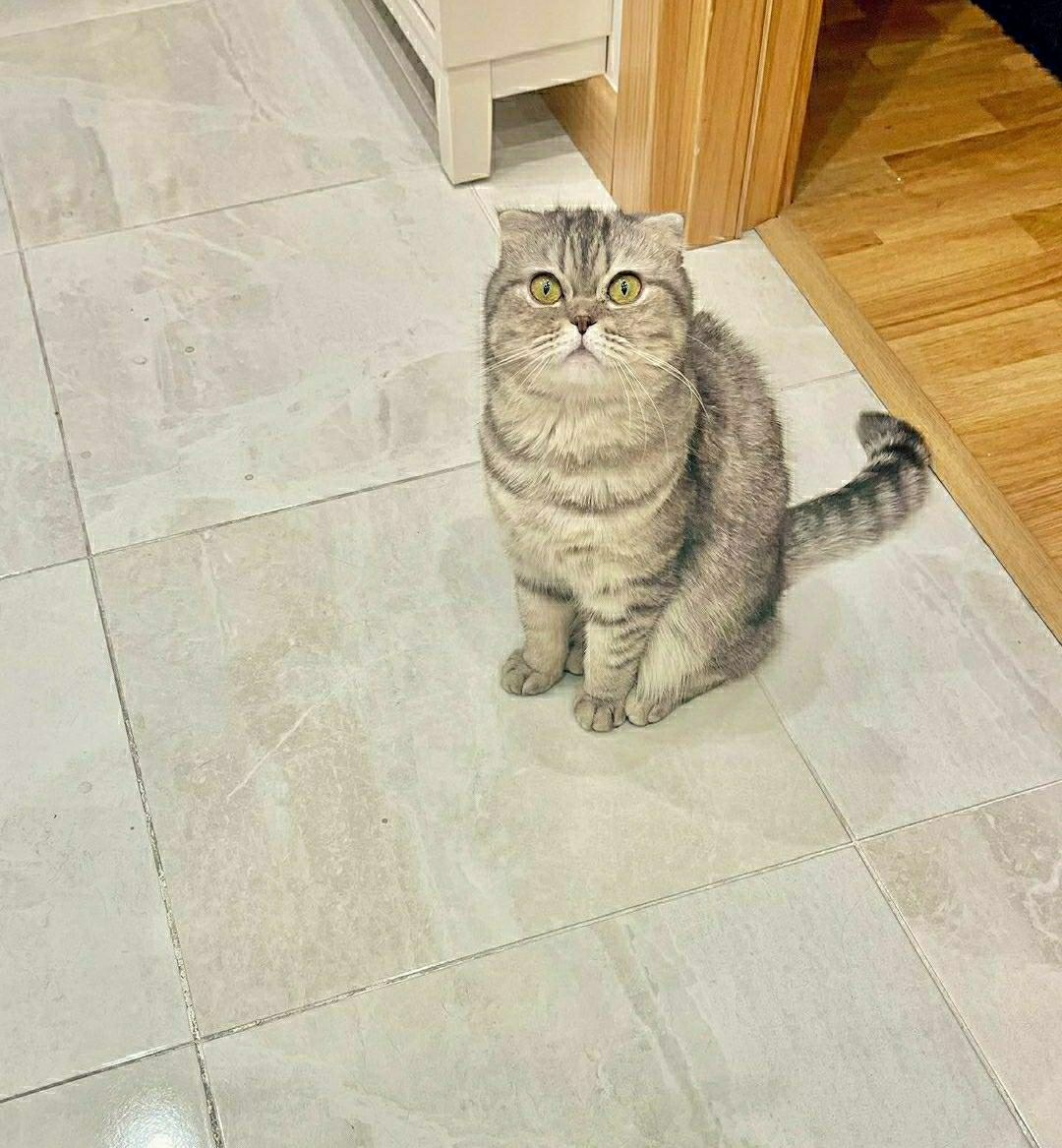 Melek
