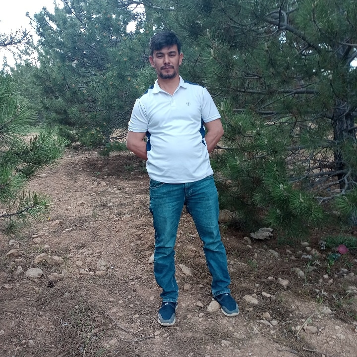 Ali