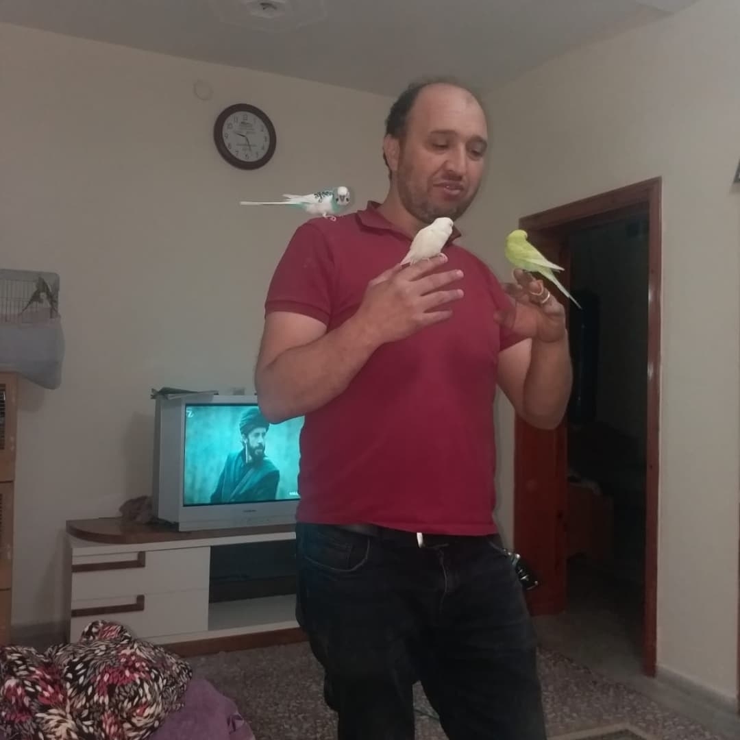 Hakan