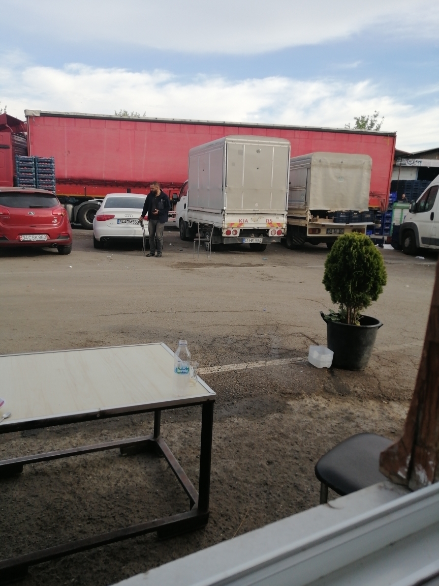 Turgut