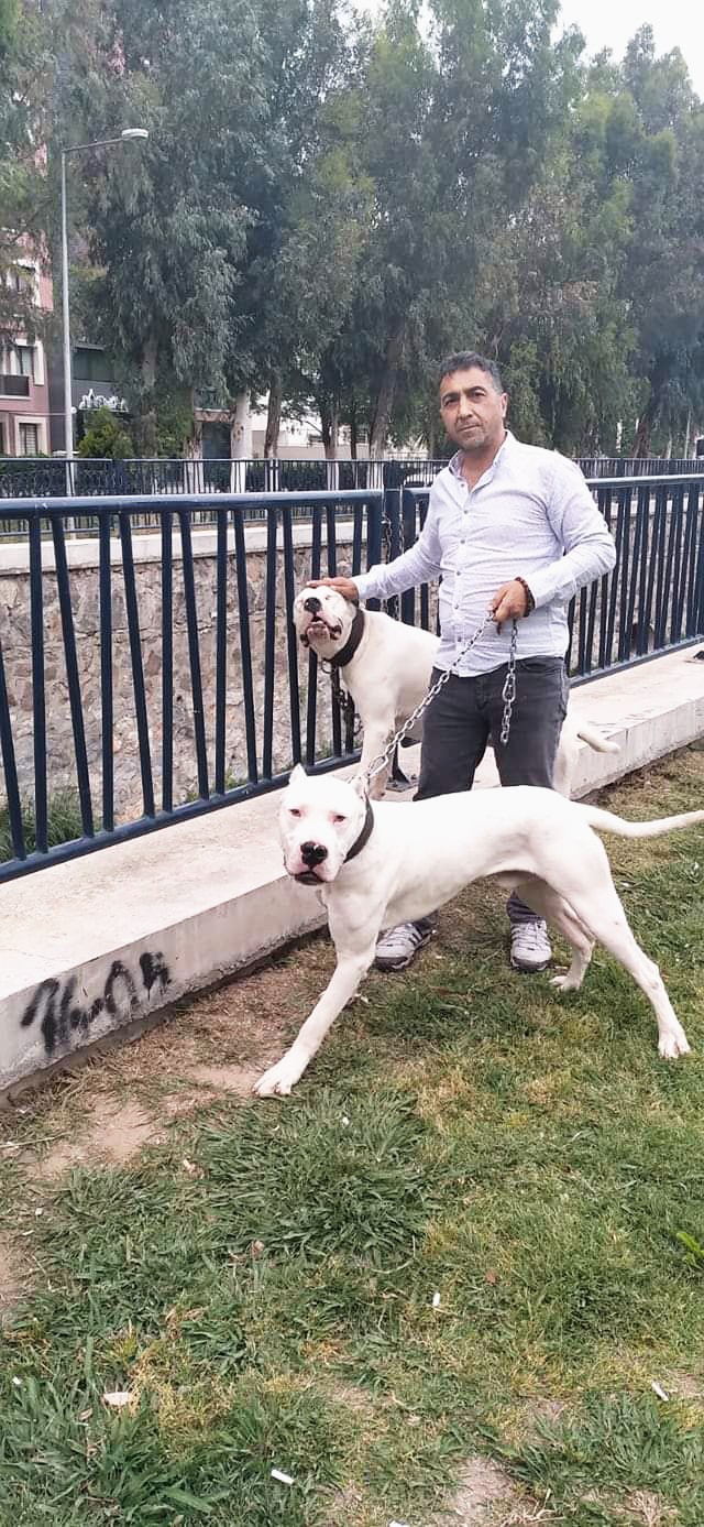 Çetin