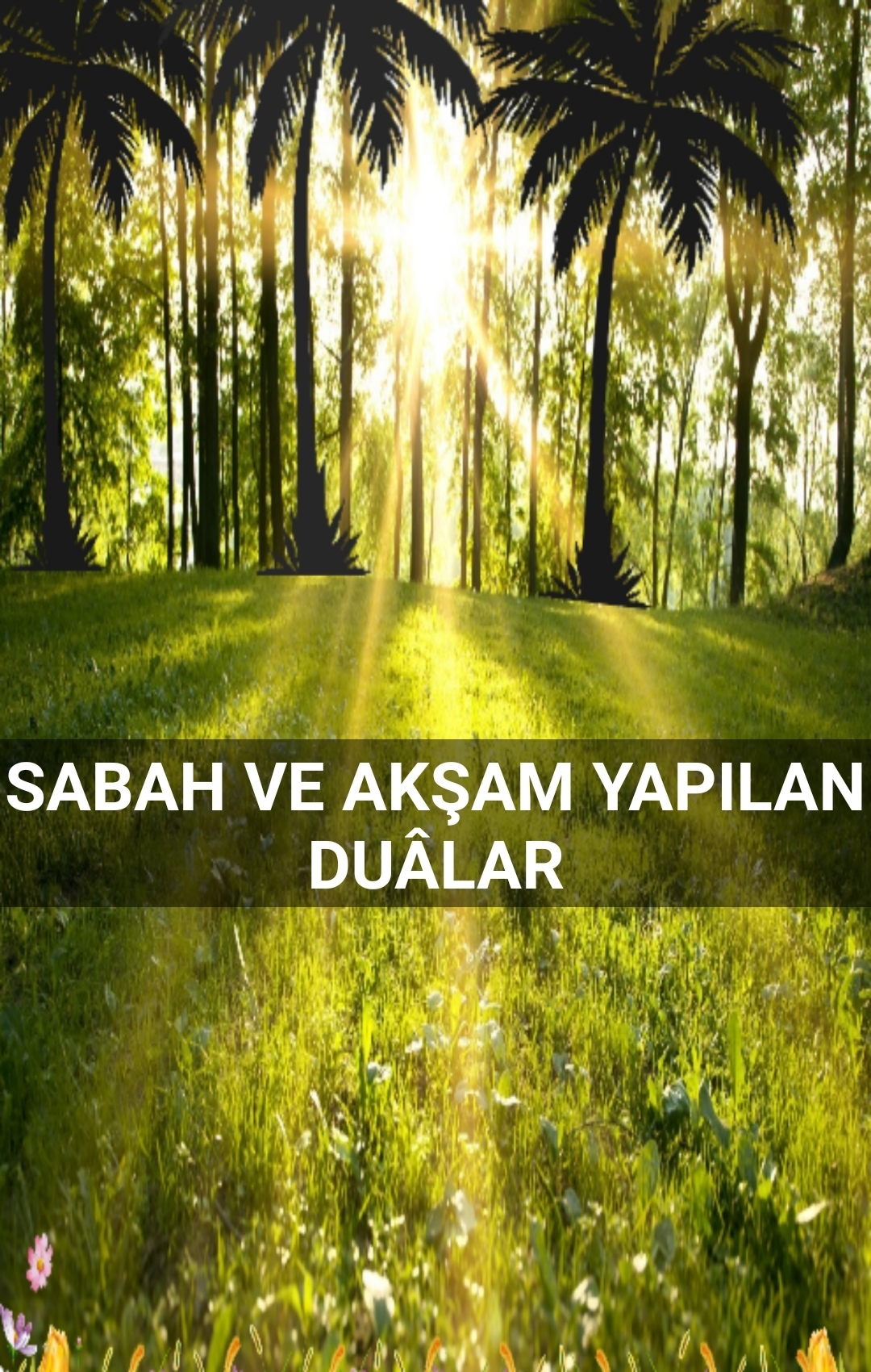 ABDULLAH